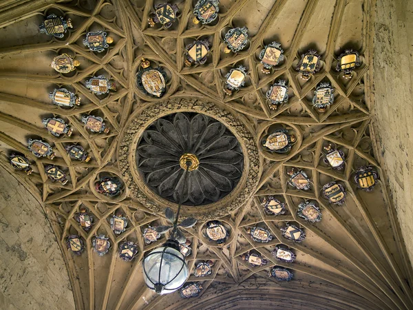 Ceiling of Christ Church College — Stock Photo, Image