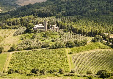 üzüm bağları ve Umbria Emlak