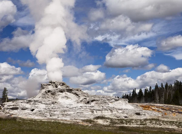 Géiser en Yellowstone Park —  Fotos de Stock
