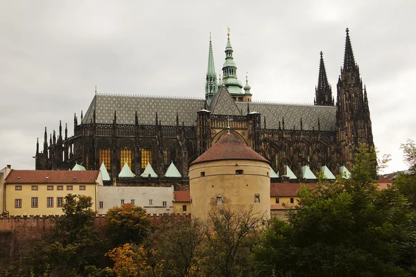 St. Vitus Cathedral — Stock Photo, Image