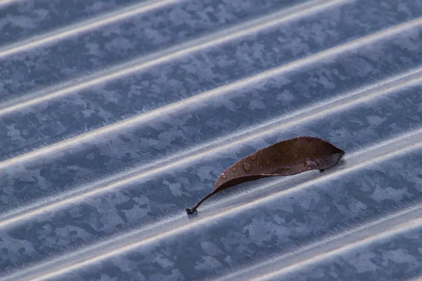 죽은 잎 골 판지 철 지붕 스톡 사진