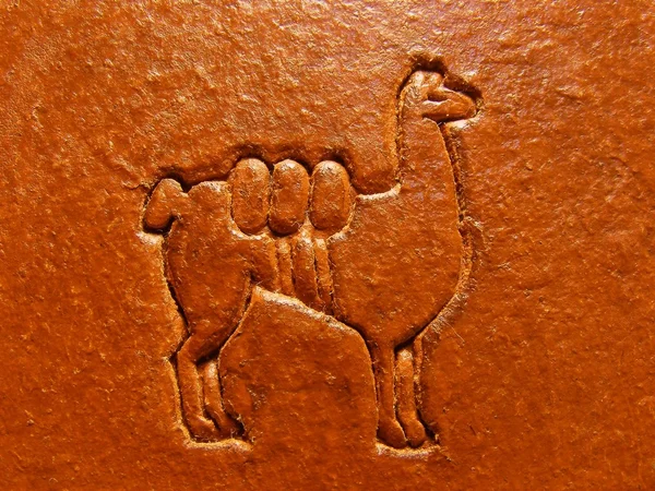 Llama outline on leather