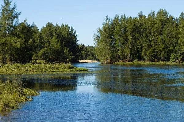 stock image Winding River