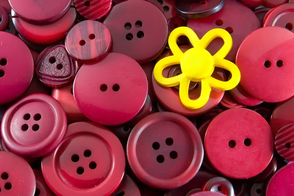 Kırmızı düğme - sarı çiçek — Stok fotoğraf