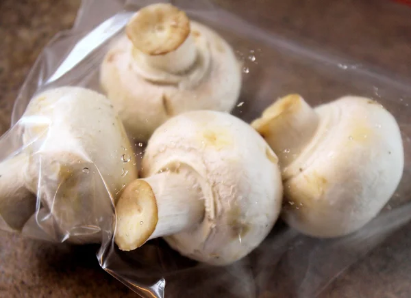 Mushrooms In Food Storage Bag