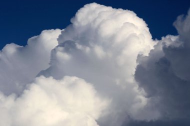 Cumulus bulutları