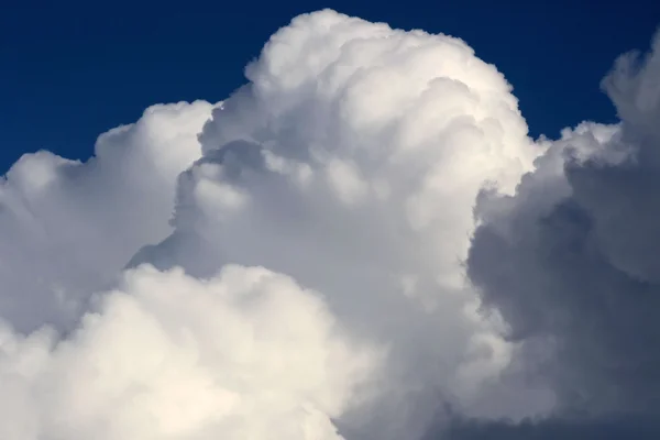 Cumulus bulutları — Stok fotoğraf