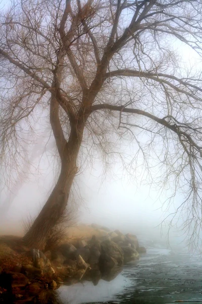 Mlhavé ráno — Stockfoto