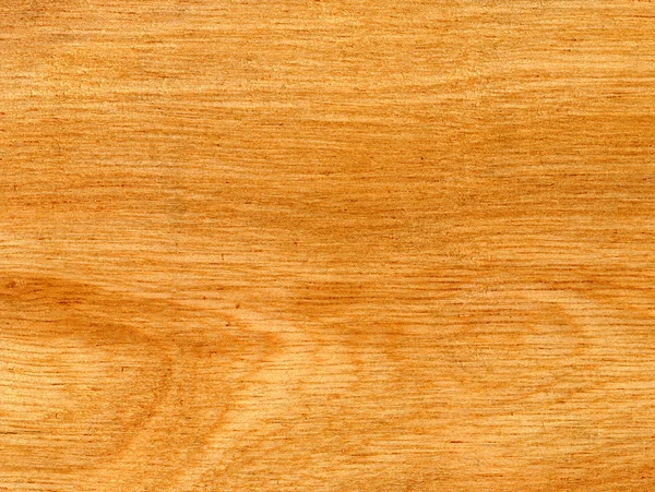 Texturas de madeira tropical — Fotografia de Stock
