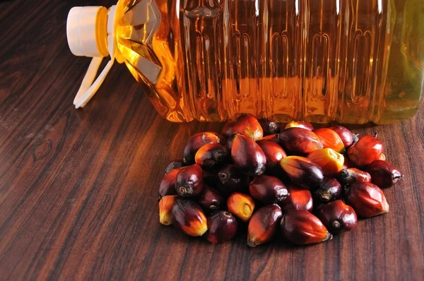 Palm Oil fruits — Stock Photo, Image