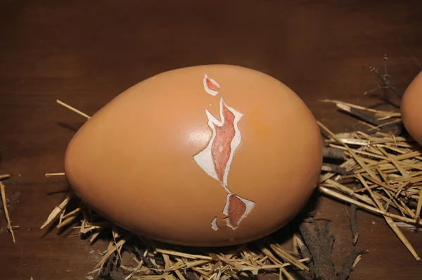 타조 계란 — 스톡 사진