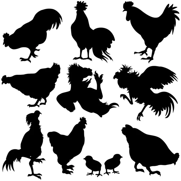 Chicken Silhouetts — Stock Vector