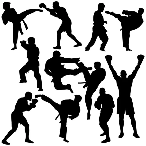 Silueta de artes marciales — Vector de stock