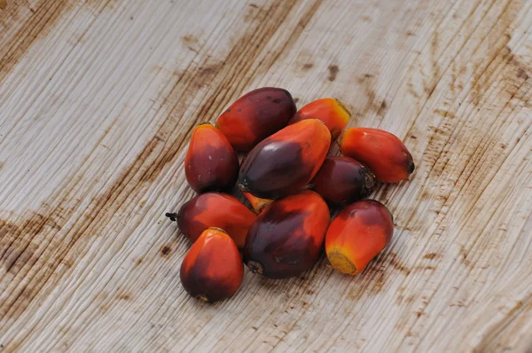 Palmöl-Früchte — Stockfoto