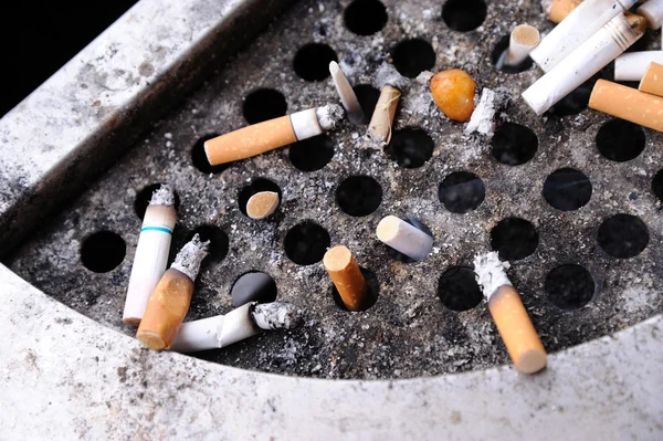 stock image Cigarette butts stuck in dirty ash