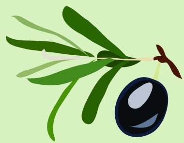 Olive branch clipart