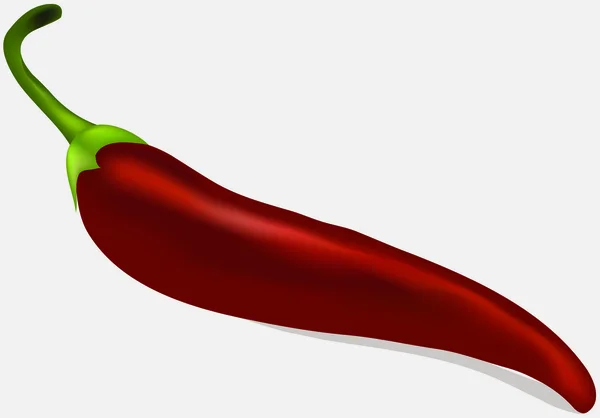 Chili pepper — Stockový vektor