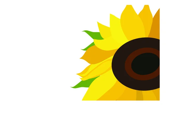Słonecznik — Wektor stockowy