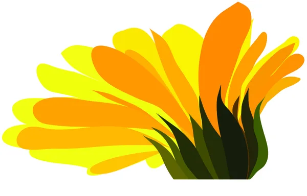 Flower daisy — Stock Vector