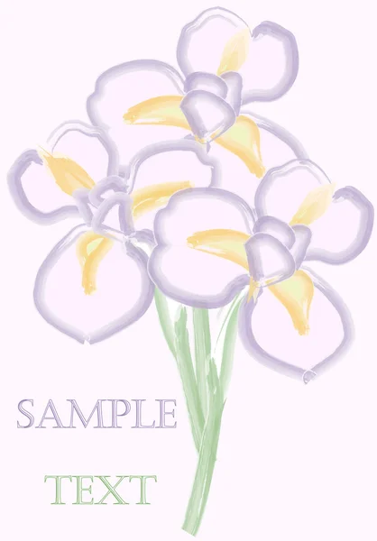 Bouquet of irises — Stock Vector