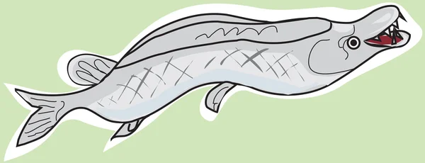 Roofzuchtige zoetwatervis, pike met een witte contouren op een groene achtergrond — Stockvector