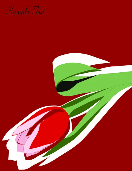 Tulipe avec tuyauterie blanche sur fond rouge — Image vectorielle