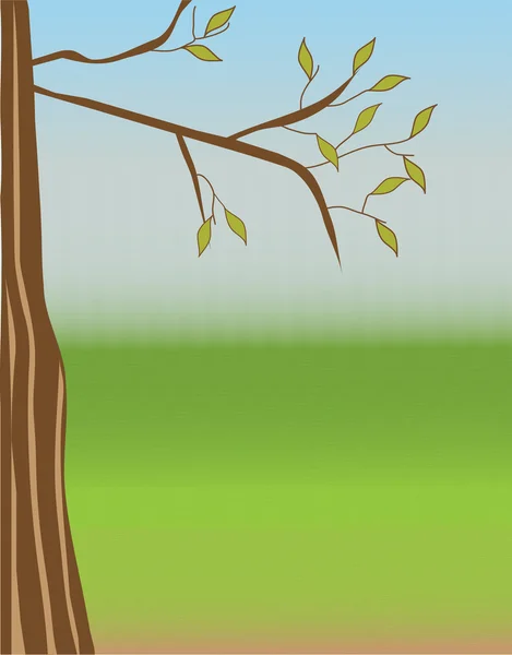 In einem warmen, sonnigen Baum mit einem Zweig, auf dem die frischen grünen Blätter — Stockvektor