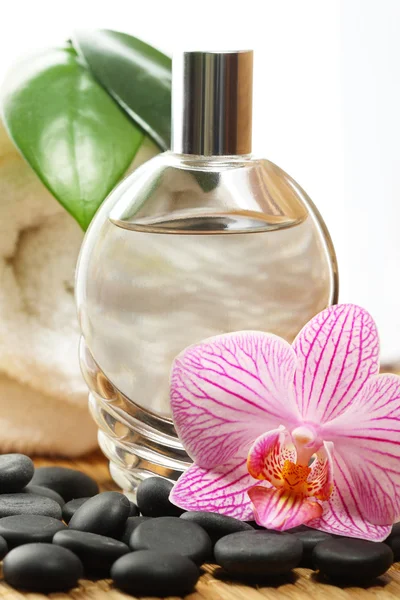 Orchid perfume — Stock Photo, Image