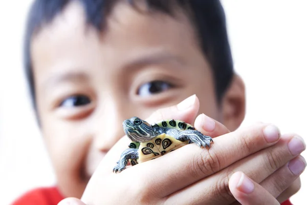 Dítě a želva — Stock fotografie