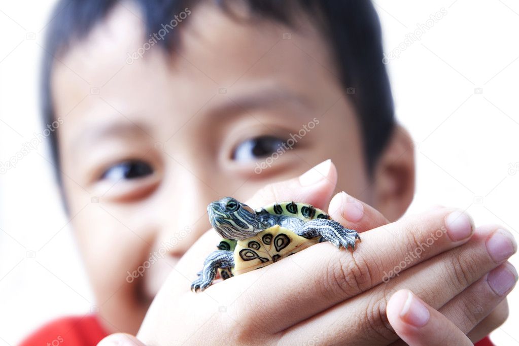 Child and turtle