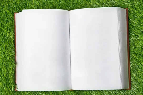 Boek met blanke pagina op het gras — Stockfoto