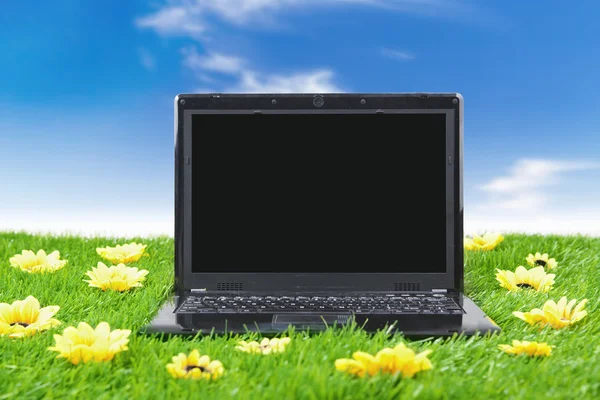 Bärbar dator omgiven av solrosor — Stockfoto