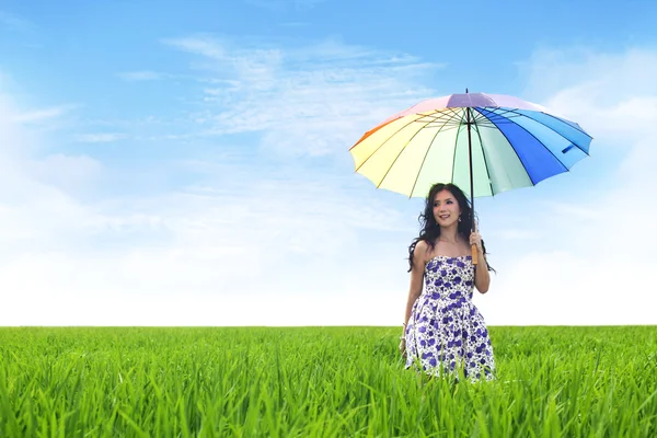 stock image Beautiful Asian Woman on Rice Field