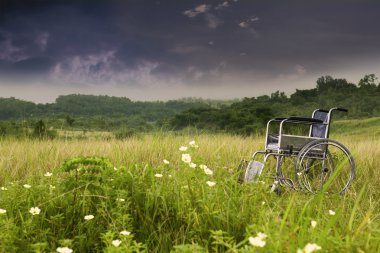 Empty wheelchair in nature