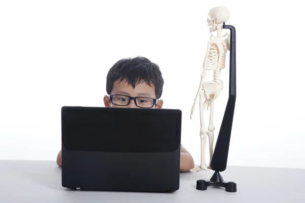 stock image Boy studies human anatomy with his laptop