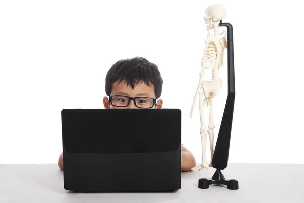 stock image Asian boy studying with laptop