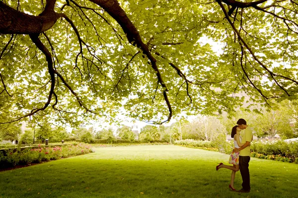 Couple kissing under tree - Stock Image - Everypixel