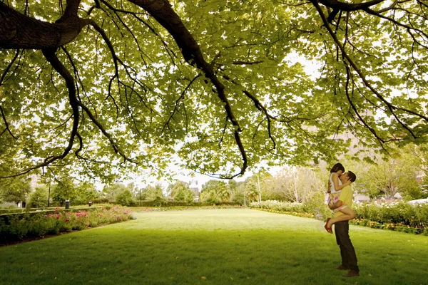 Pocałunek pod drzewem — Zdjęcie stockowe