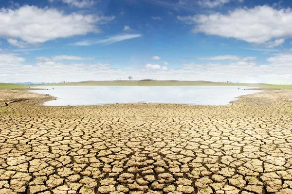 Terra seca em Horizontal — Fotografia de Stock