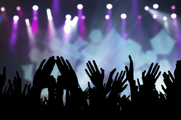 Concert fans — Stockfoto