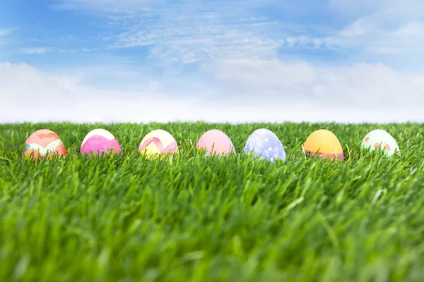 Œufs de Pâques sur champ vert — Photo
