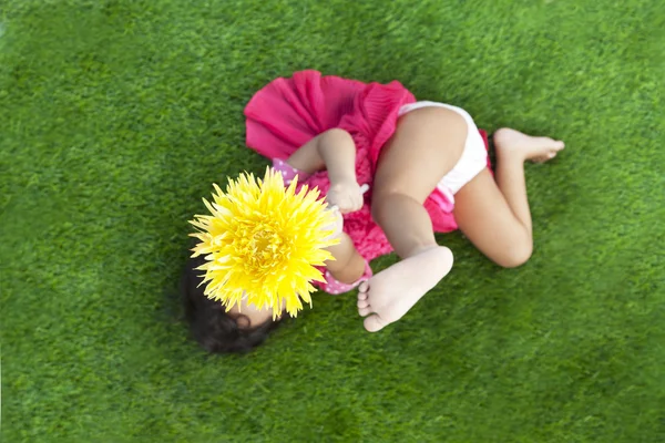 Дівчина з квіткою гербери — стокове фото