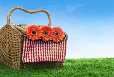 Picnic basket shot in meadow clipart