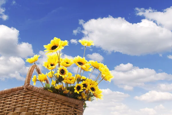 Picknickmand met zonnebloem — Stockfoto