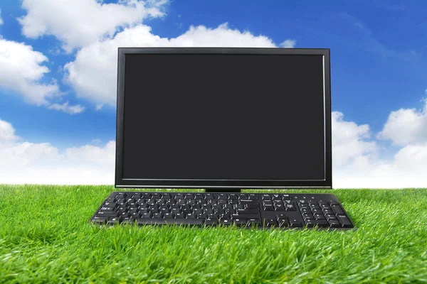 Monitor en blanco con teclado en el prado —  Fotos de Stock