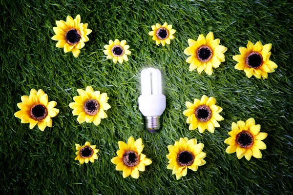 Energia economizar lâmpada — Fotografia de Stock