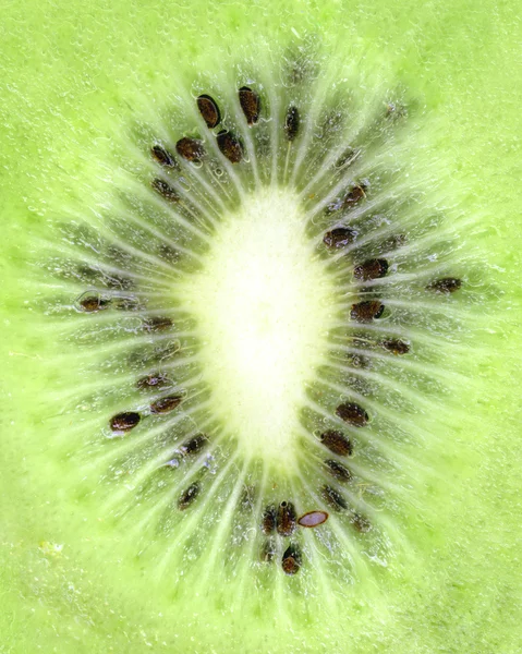 stock image Kiwi texture