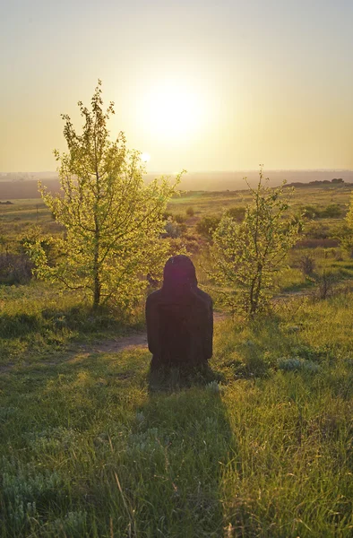 stock image Stone idol in the steppe