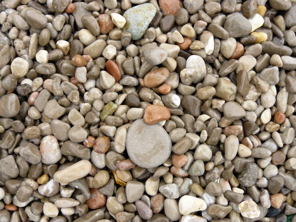 Beach background pebbles — Stock Photo, Image