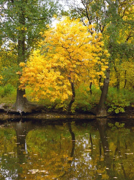 Stock image Autumn